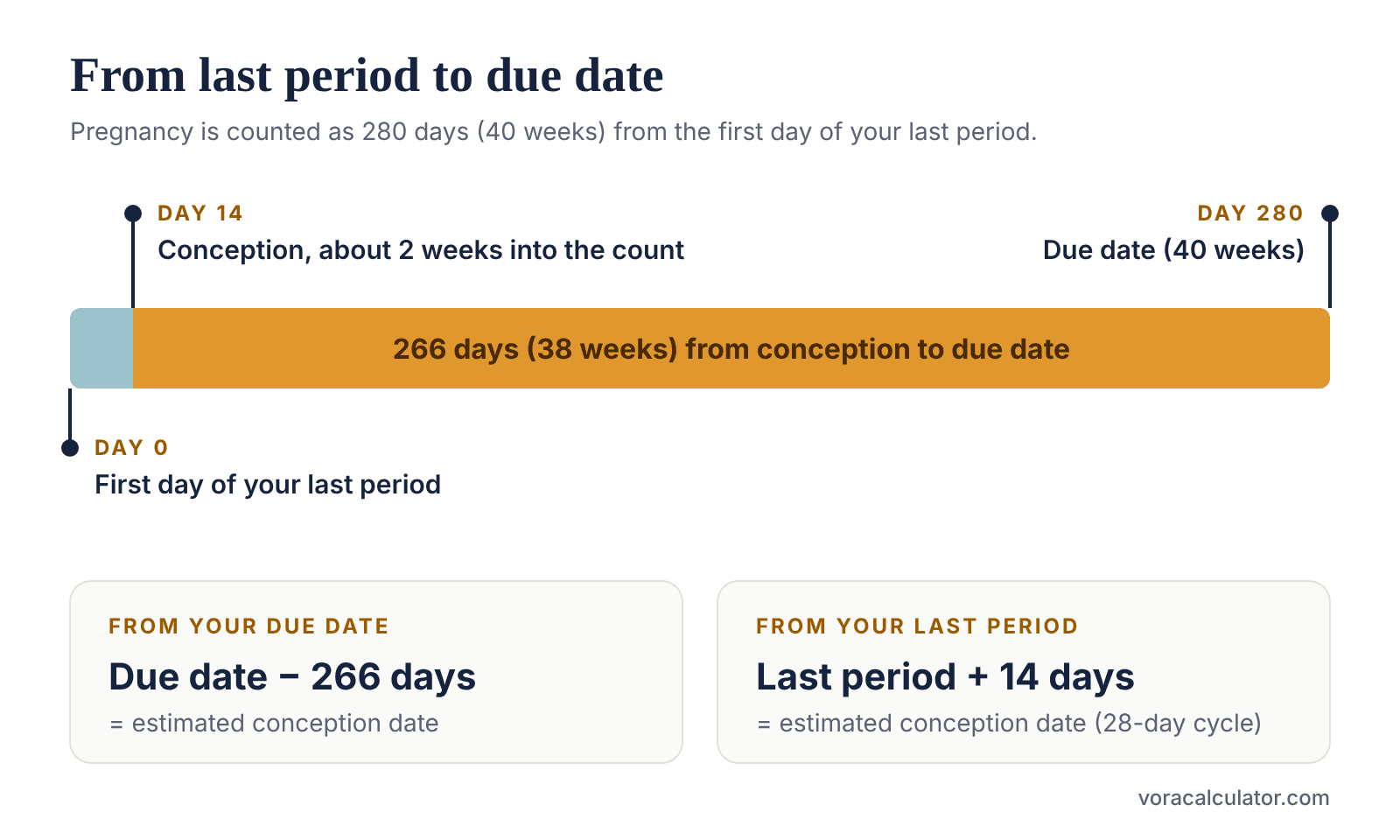 Timeline of a 280-day pregnancy counted from the first day of the last period: conception is about day 14 and the due date is day 280, which is 266 days after conception.